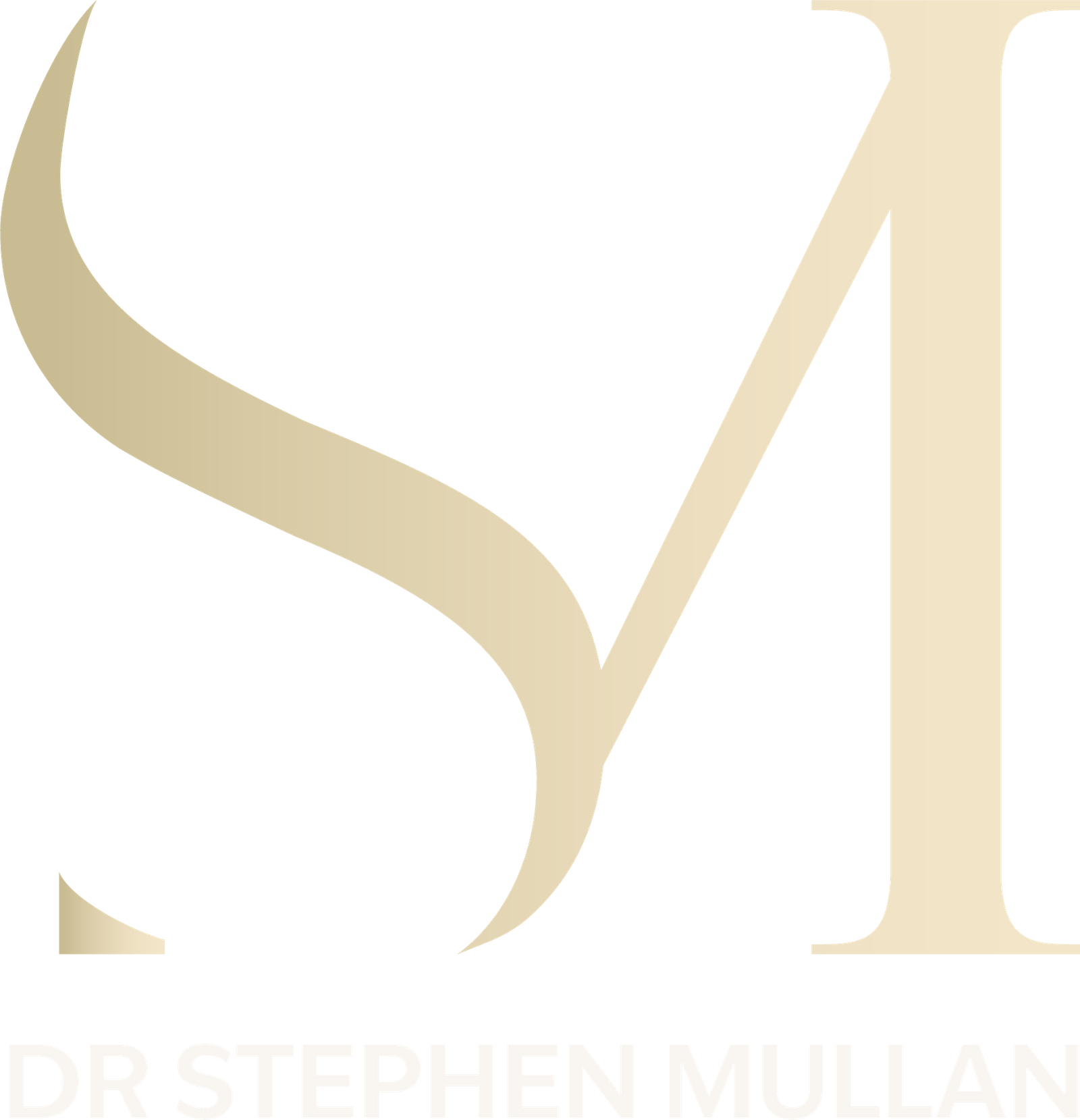 Dr Stephen Mullan